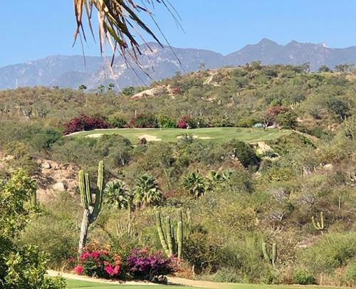 Stunning Views of Cabo’s