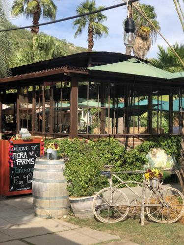 Lunch at Cabo’s famousfarm to table restaurantFlora Farms 