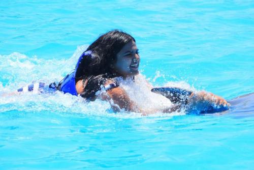 An afternoon swimming with the dolphins